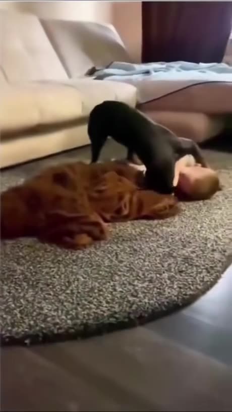 When your dog is your best wingman 🐶👦