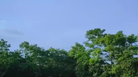 Outside of the train