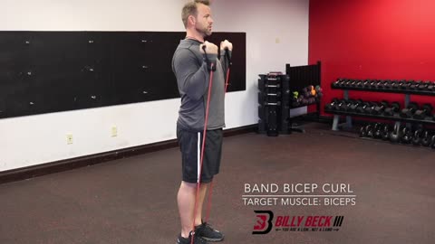 Band Bicep Curl