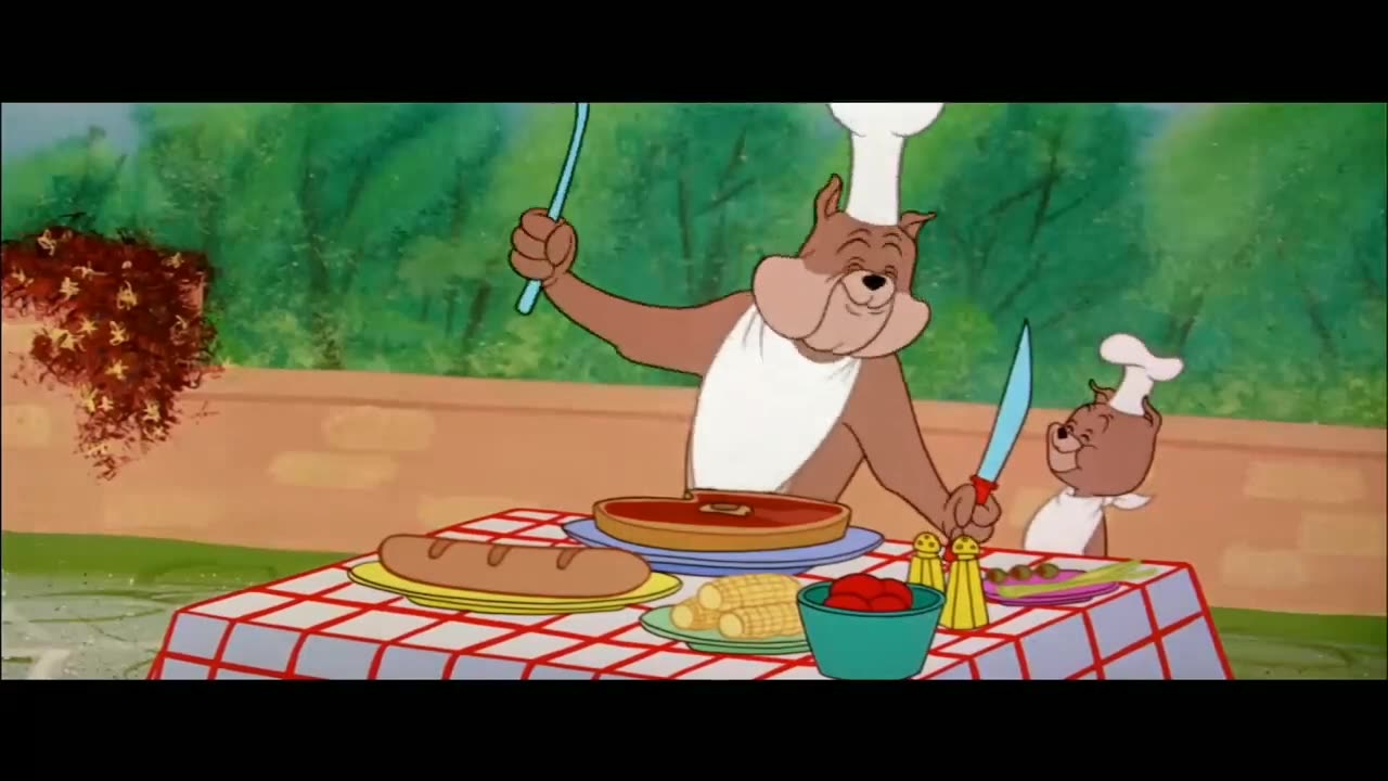 Tom & Jerry cartoon video