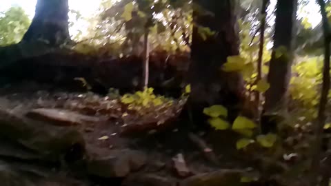 Sundayscape Clips: Honey Run Waterfall Pt 1