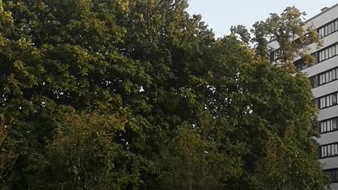 Birmingham evening view