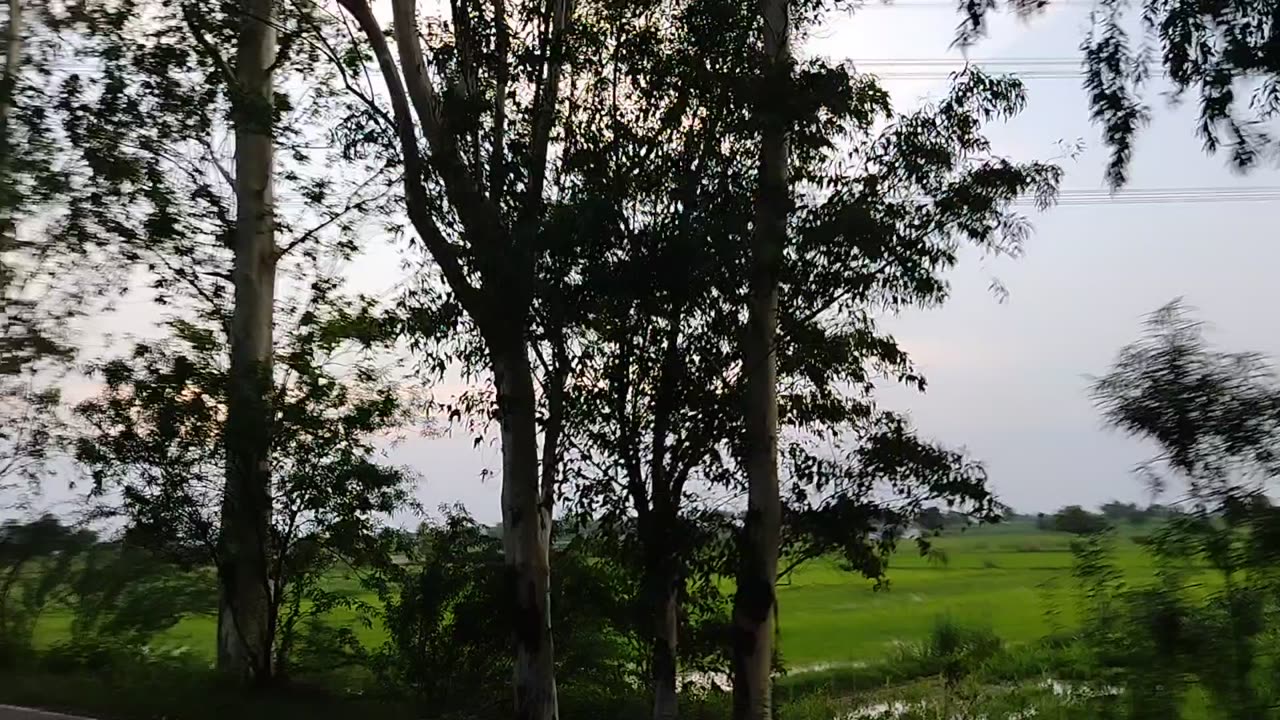 Beautiful Nature View