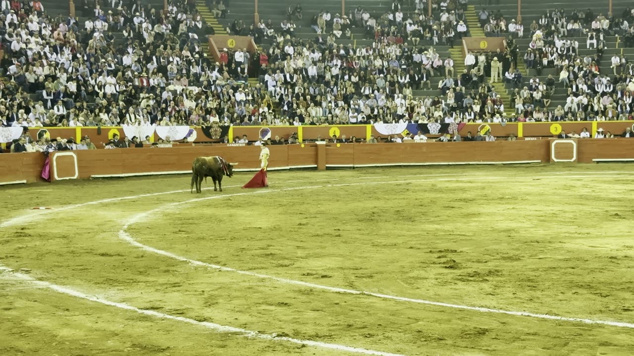 Maestro Enrique Ponce