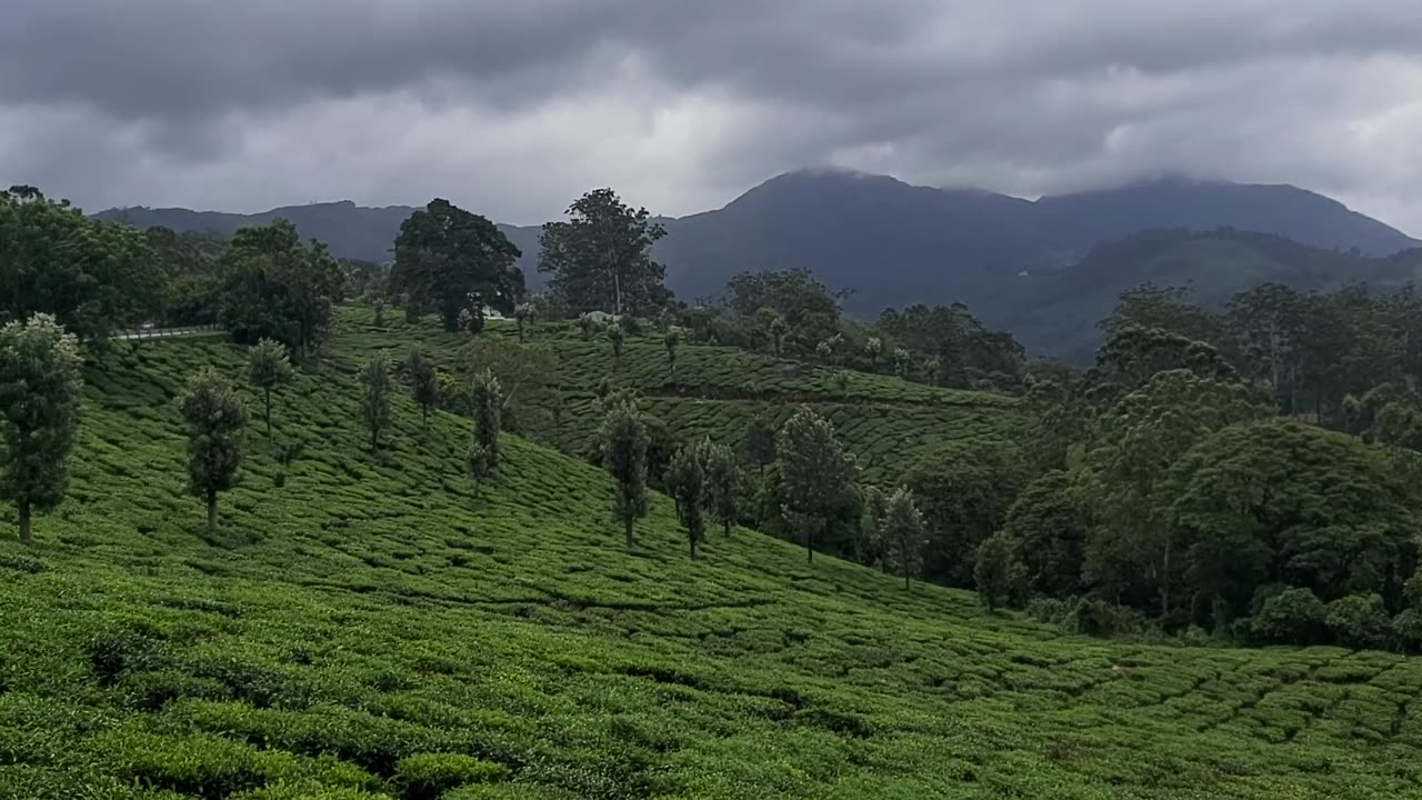 Hill Station
