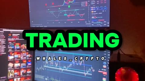 WHALE'S CRYPTO 🐳