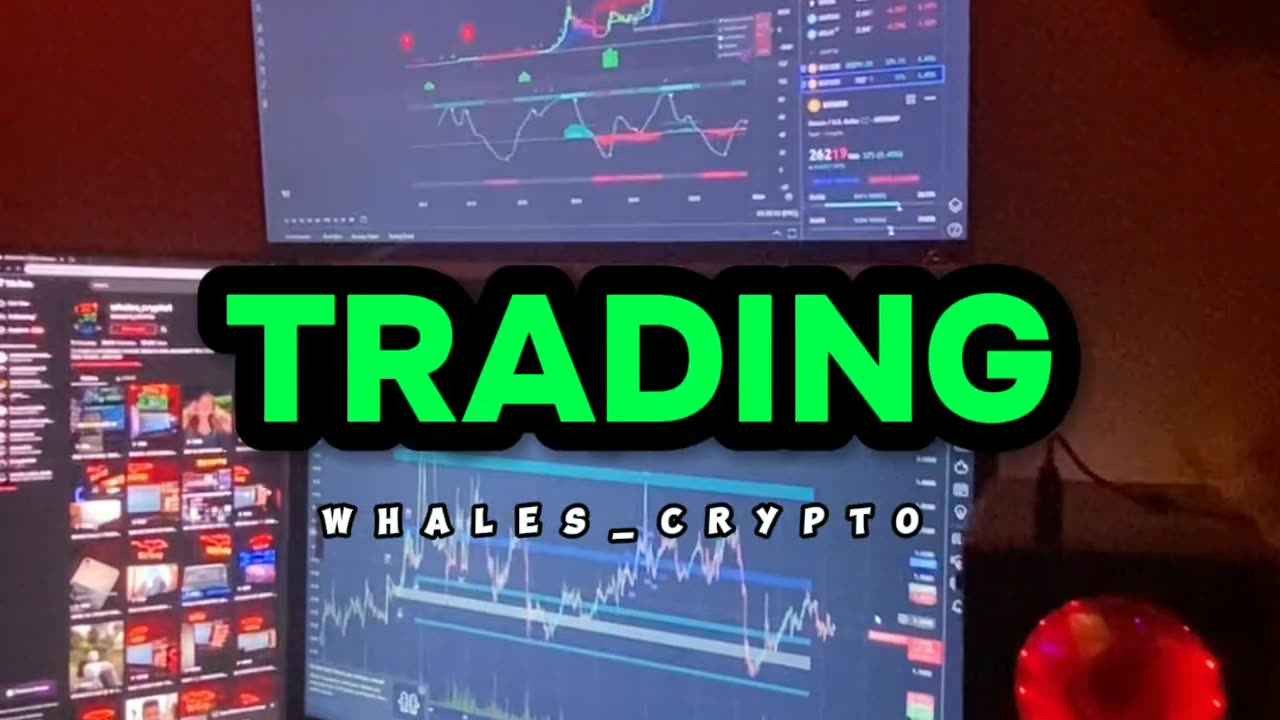 WHALE'S CRYPTO 🐳