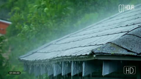 RAIN for sleep Best 1 hour rain Video for SLEEP