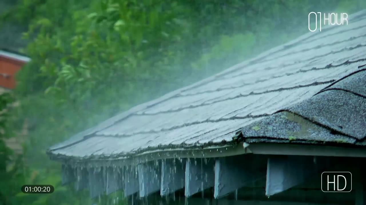 RAIN for sleep Best 1 hour rain Video for SLEEP