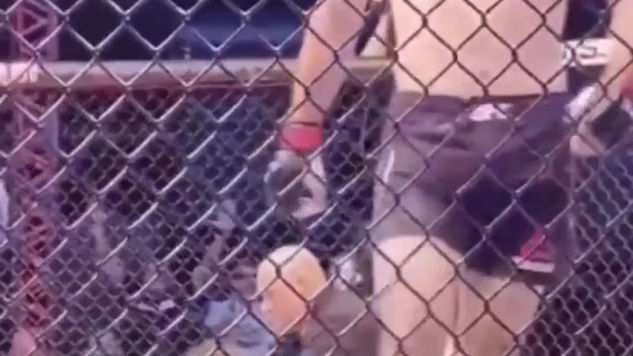 fight