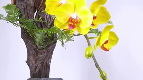 Learn flower arrangement