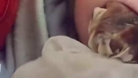 أم نازحة في غزة تطعم رضيعها تمرا بدلا من الحليب لعدم توفره #فيديو #حرب_غزة