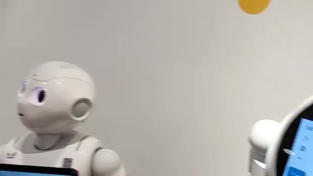 Humans are out - Robots are in 🤯 #KittyKatCoin