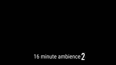 Frederick Miller Jr, XIXVIMM - 16 minute ambience 2