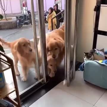 Quando ciò che fai Non lo fai per sentirti bene, ...