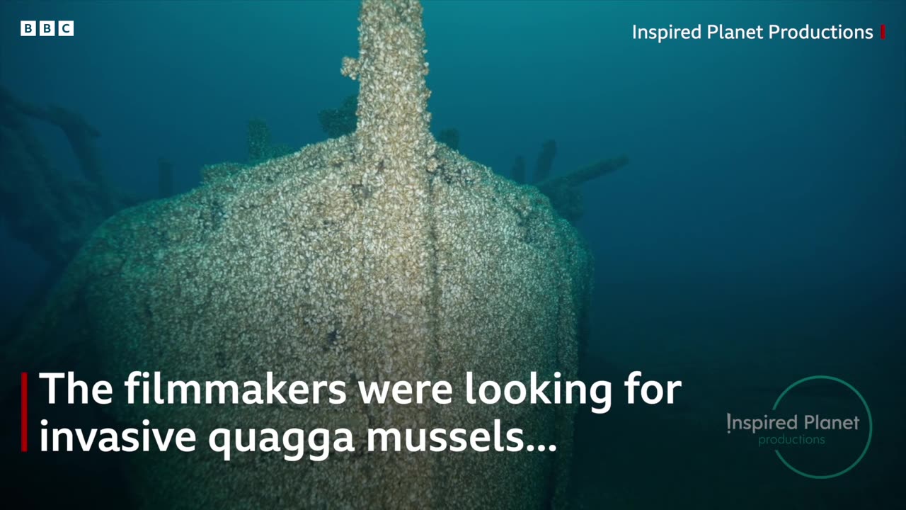 Filmmakers discover 128-year-old shipwreck