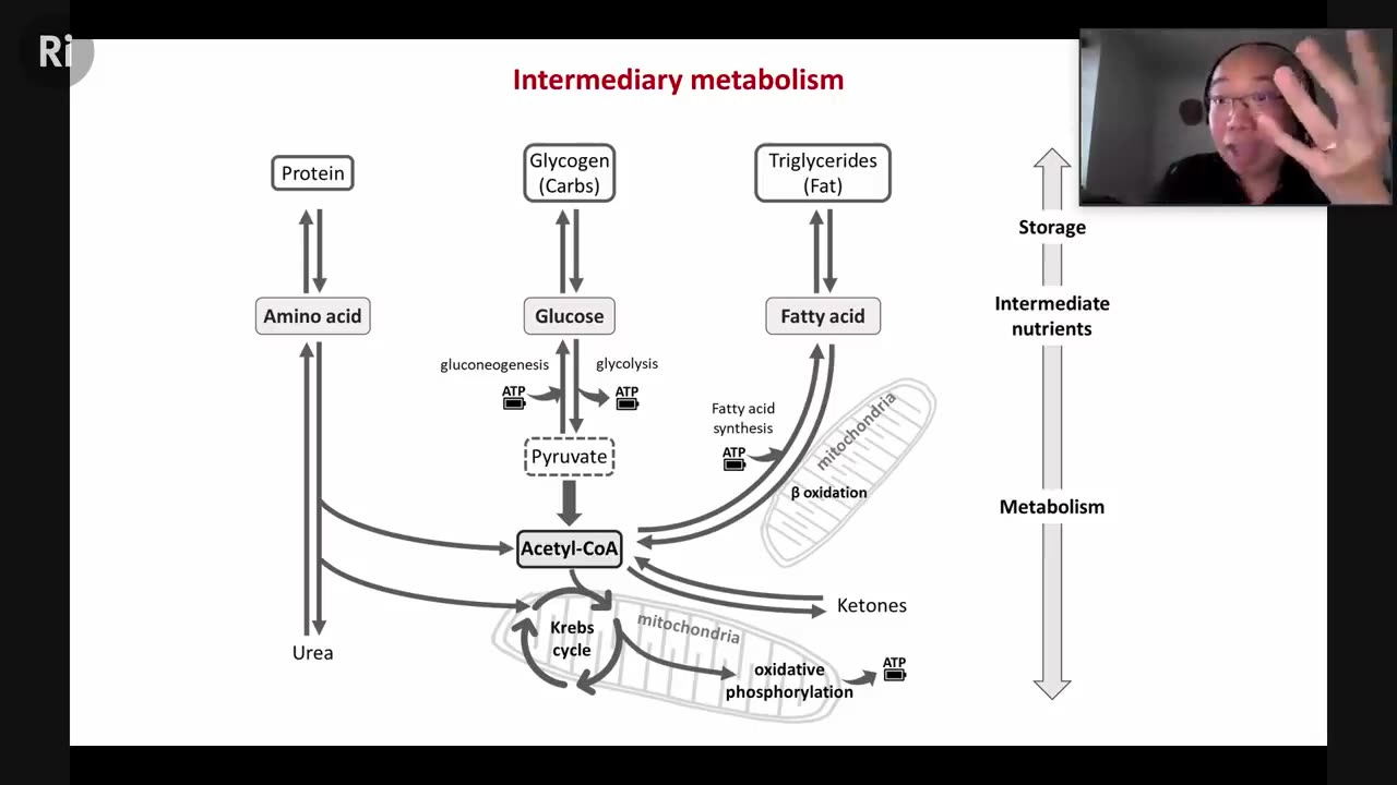 How We Got the Science of Weight Loss Wrong - with Giles Yeo