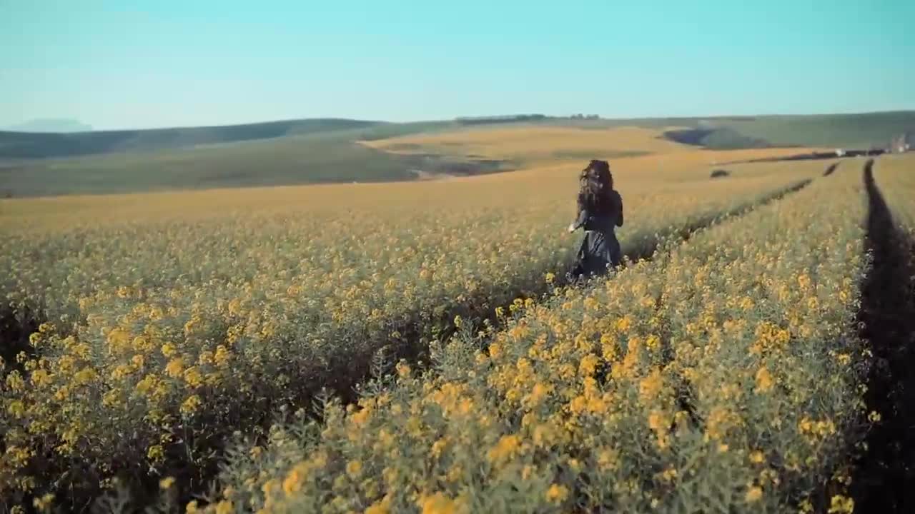 A girl walking in beautiful Flower garden Drone Video_1