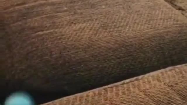 Are other dogs like this๐
๐