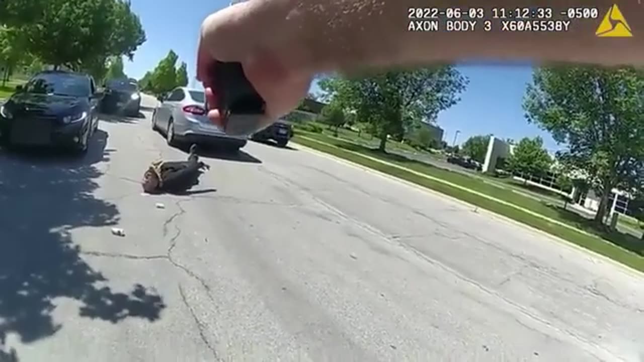 Axe Wielding Man Attacks A Police Officer. He Was Taken Down.