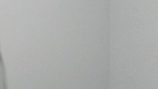 Why are the B-Dubs attacking passport brothers