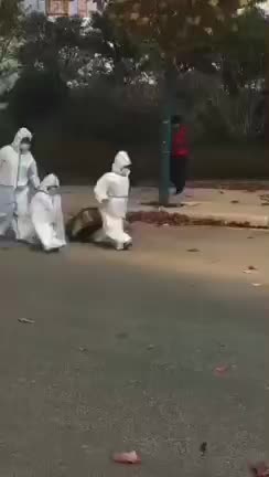 Chinese people being sent to covid camps