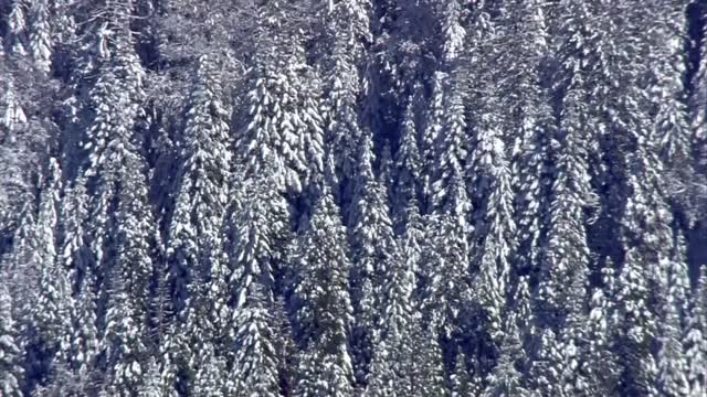 Powerful winter storm heads east, moving across the U.S.