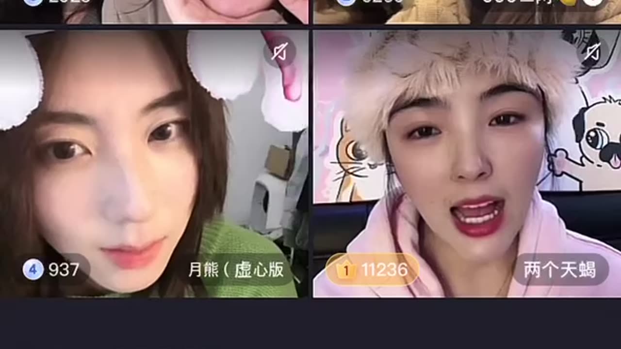 Live Night & Shiye