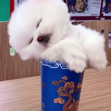 She is sleeping😂😂