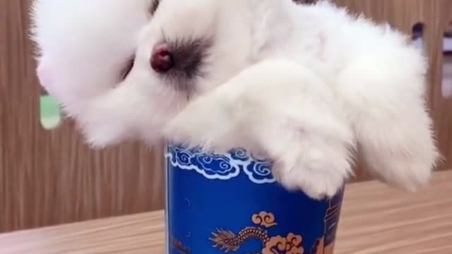 She is sleeping😂😂