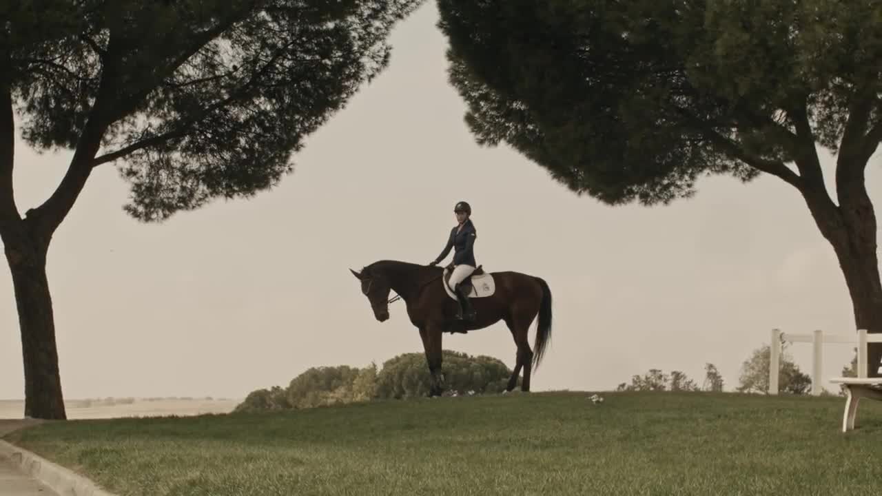 Sia - Unstoppable (equestrian original art video)