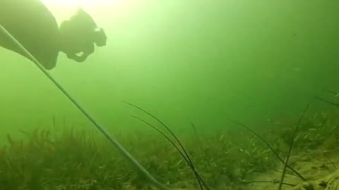 Mexican brother came to dive