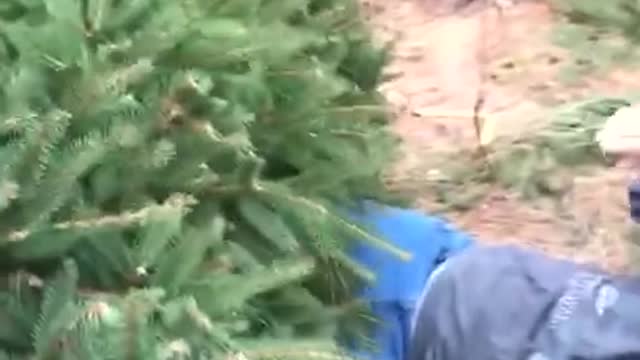 Best Funny Video Clips #shorts (104)