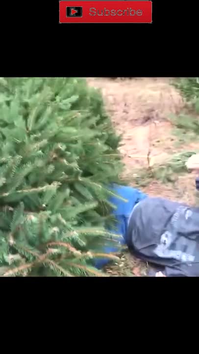 Best Funny Video Clips #shorts (104)