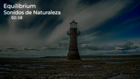 🎶Music to sleep😴 - Sounds of Nature🌲 -( Equilibrium - Tobacco Music Edition)