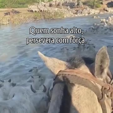 O caminho é longo, mas a recompensa vale a pena.