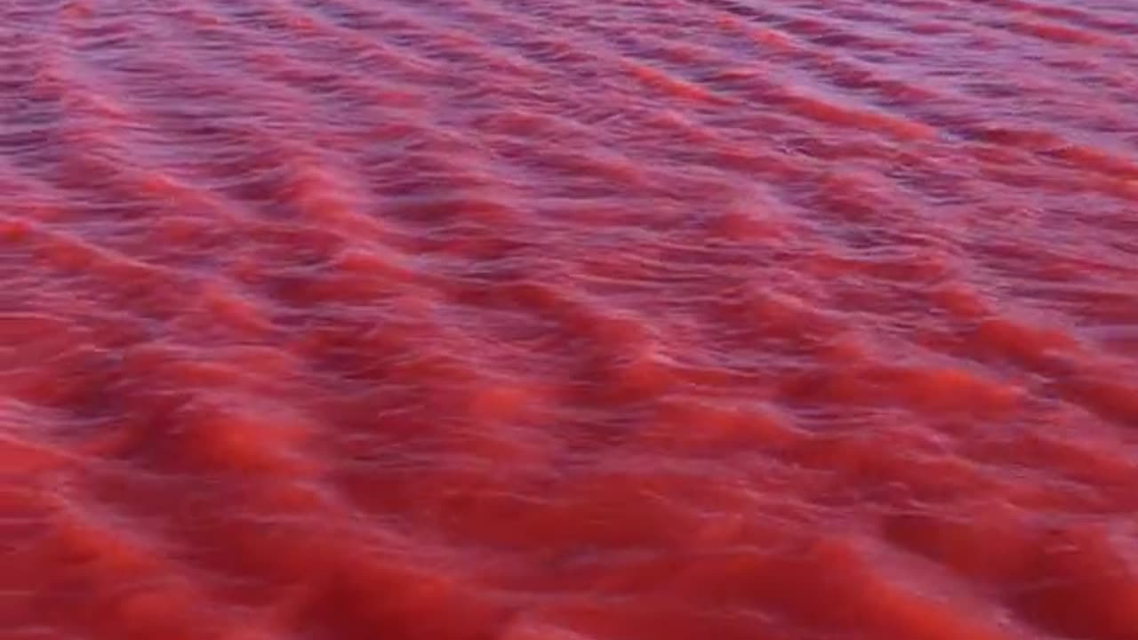 YET ANOTHER TURNS RED~THE NILE IN EGYPT TURNS RED 9/11/23