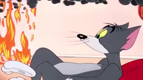 Tom and Jerry funny cartoon