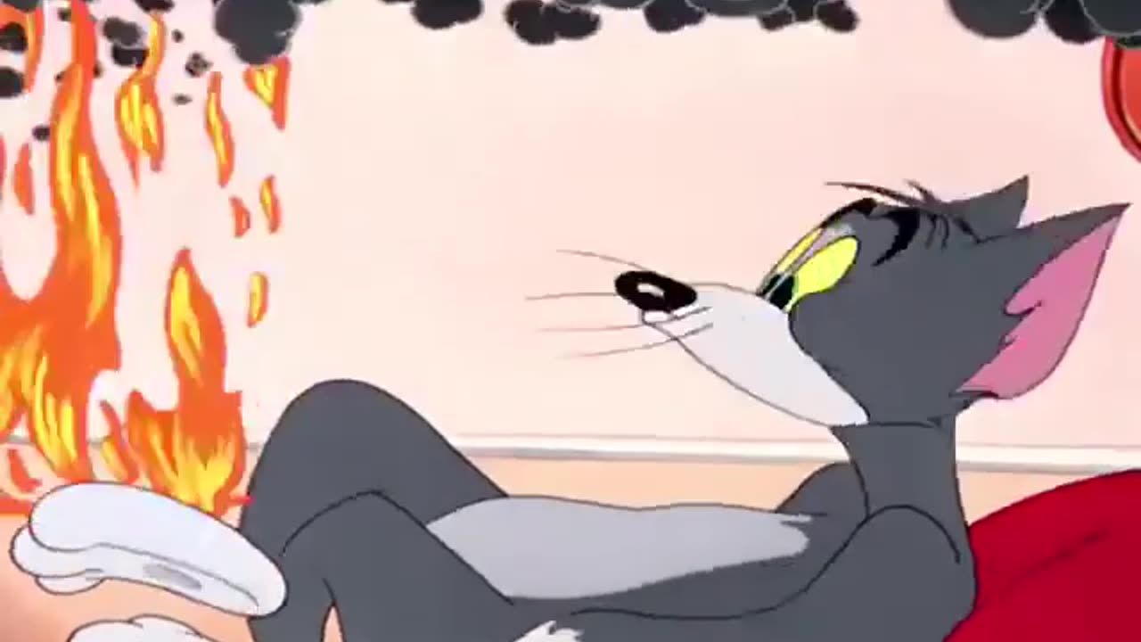 Tom and Jerry funny cartoon