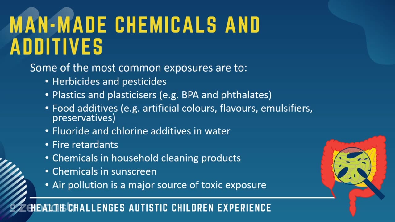 56 of 63 - Man-Made Chemicals and Additives - Health Challenges Autistic Children Experience