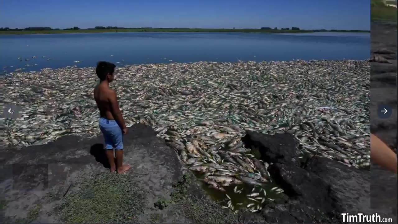 Government Fish Kills all over the World