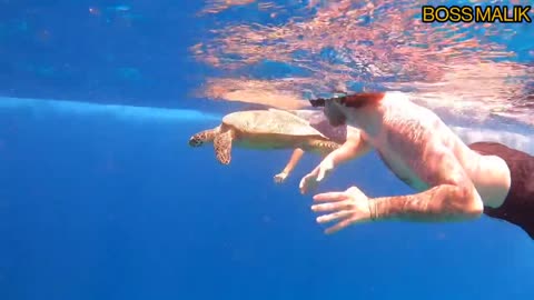 SNORKLING WITH MANDOM FROM ENGLAND GILITRAWANGAN