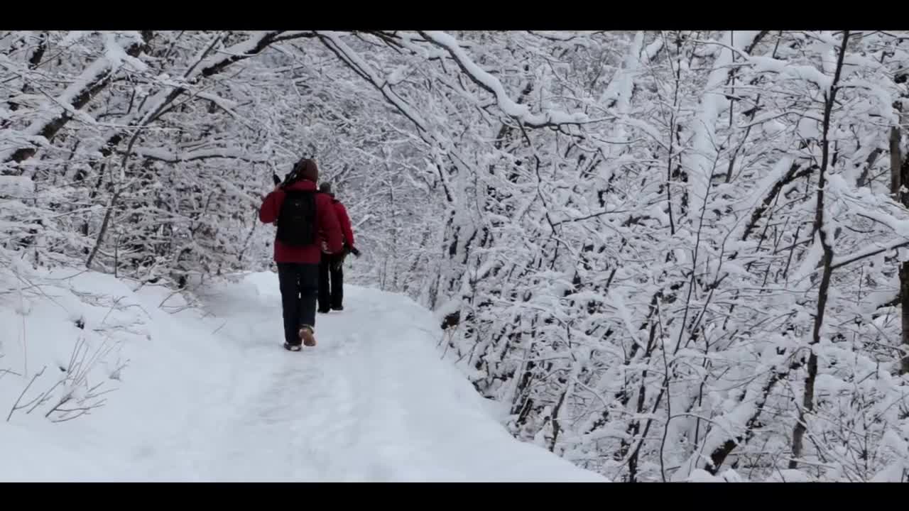 Croatia - Landscape photo tour