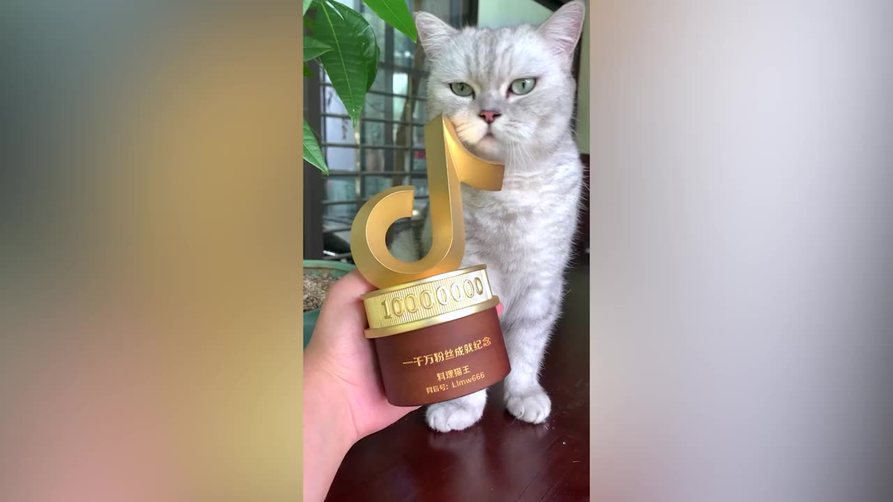 Funniest Animal Videos 2024