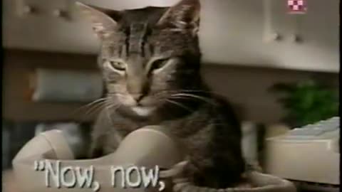 October 16, 2000 - Baxter the Cat Dials His Owner