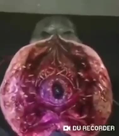 A strange sea creature captured by the research vessel JOIDES Resolution.