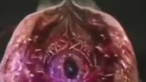 A strange sea creature captured by the research vessel JOIDES Resolution.