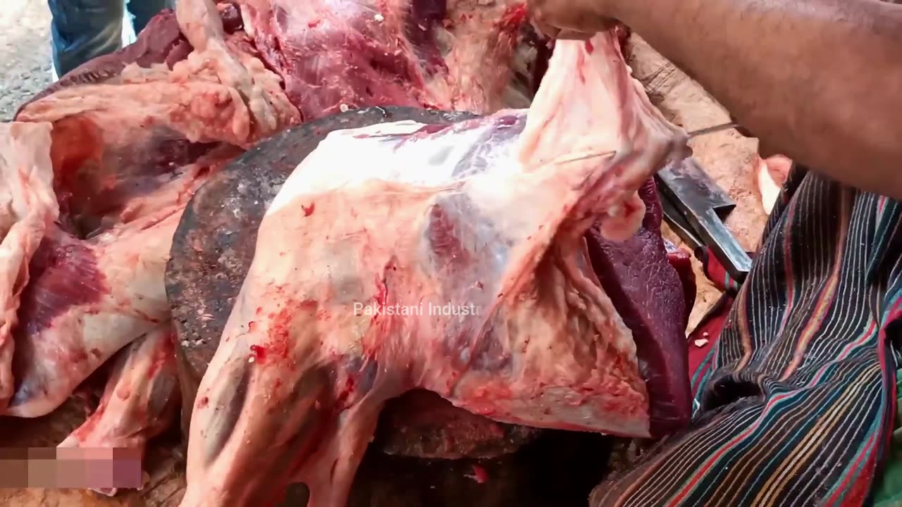Beef Cleaning and Cutting Simplified