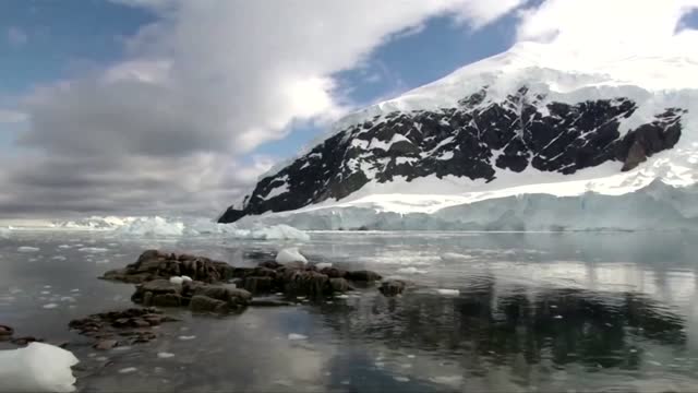 How krill fishery threatens Antarctic wildlife