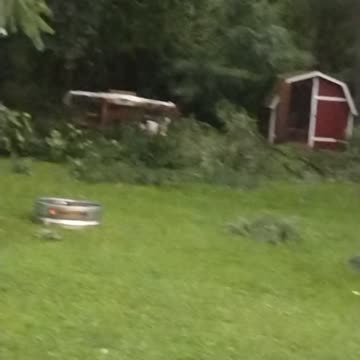 TREES SNAPPED BEFORE THE WIND . 🤔